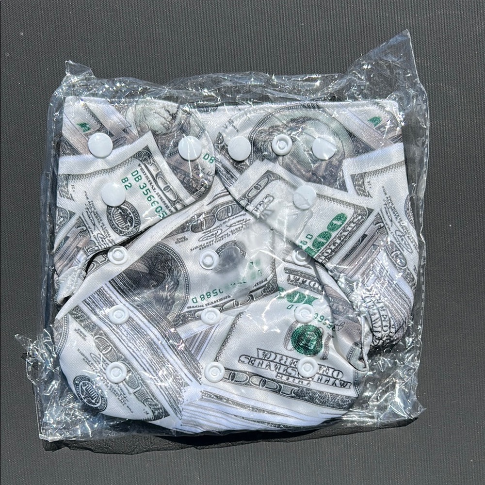 New $100 Hundred Dollar Print Washable Reusable Cloth Diaper Baby